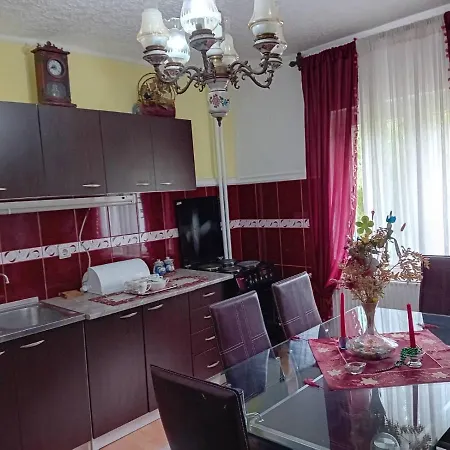 Apartment Dusica Vrnjacka Banja