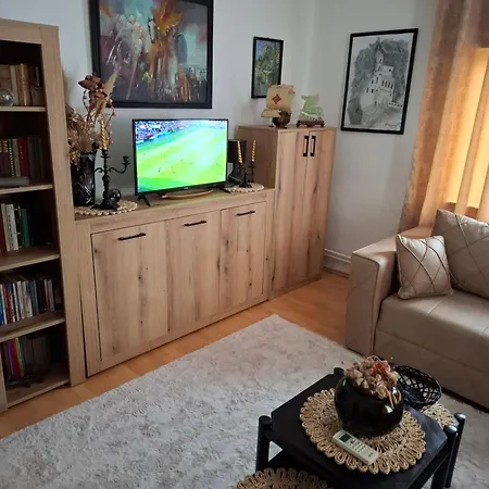 Dusica Apartament Vrnjačka Banja