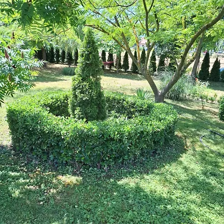 Dusica Apartament Vrnjačka Banja
